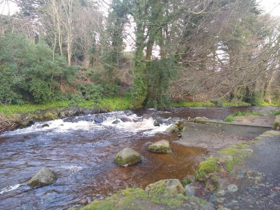 Ryan's Rostrevor